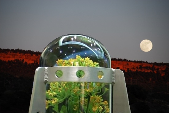 地球突然消失月亮会怎么样,如果月亮突然消失地球会怎样