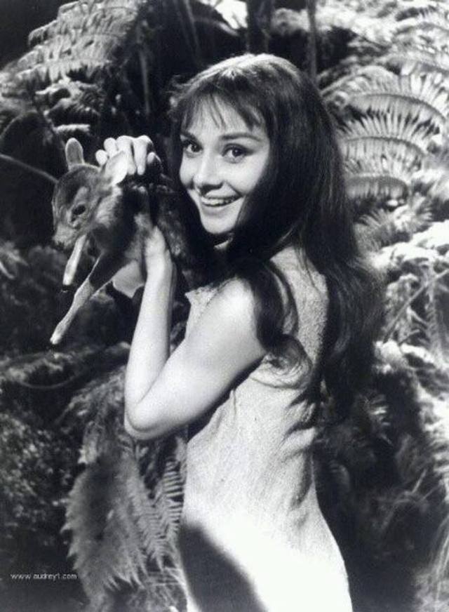 奢侈品的秘密丨揭秘纪梵希小鹿包与奥黛丽·赫本的传奇经历~