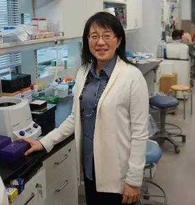 干细胞移植治疗软骨有希望吗,干细胞治疗的弊端与危害