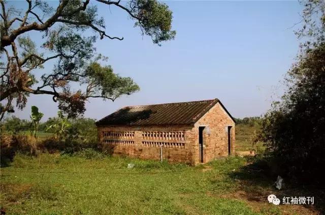 张书勇｜半夜鸡叫10——12