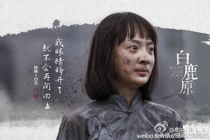 电视剧白鹿原为什么被白灵毁了,白鹿原白灵不同角度评价