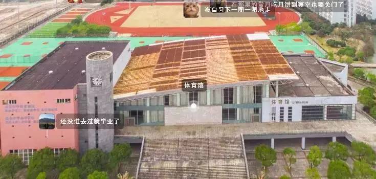 鎴戝惉瑙佽繙鏂圭殑涓嬭閽熷0鍝嶈捣,鎴戝惉瑙佽繙鏂圭殑涓嬭閽熷0鍝嶈捣浼村