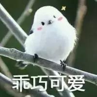 来大姨妈的时候如何正确吃雪糕 (女生大姨妈啥时候可以吃雪糕)