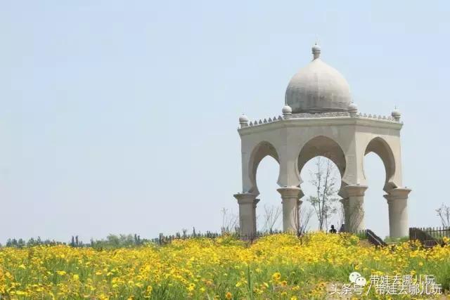性价比高的亲子酒店推荐,性价比高又好住的酒店