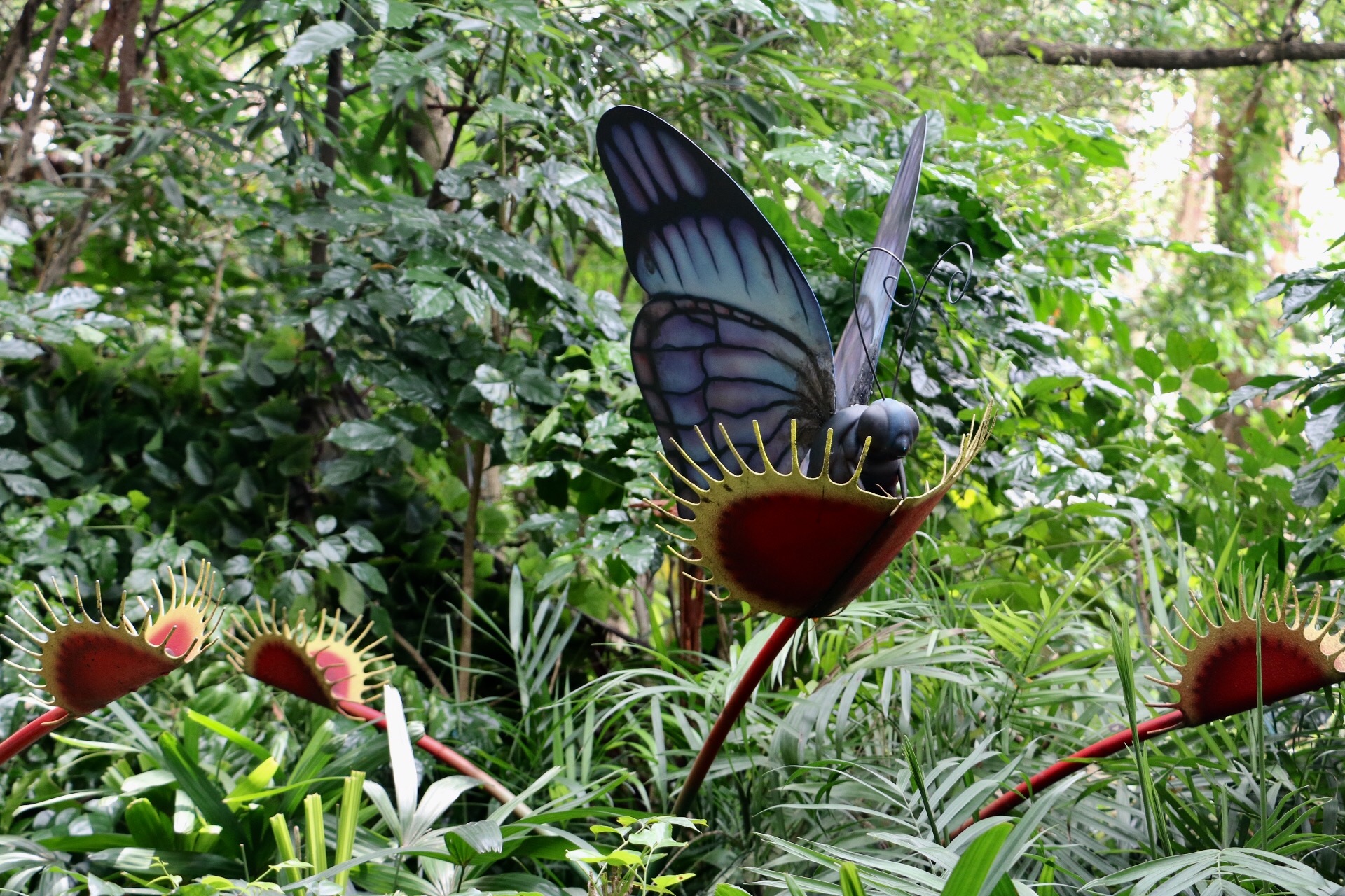 一月广州长隆野生动物园游玩攻略,长隆海洋王国不可错过