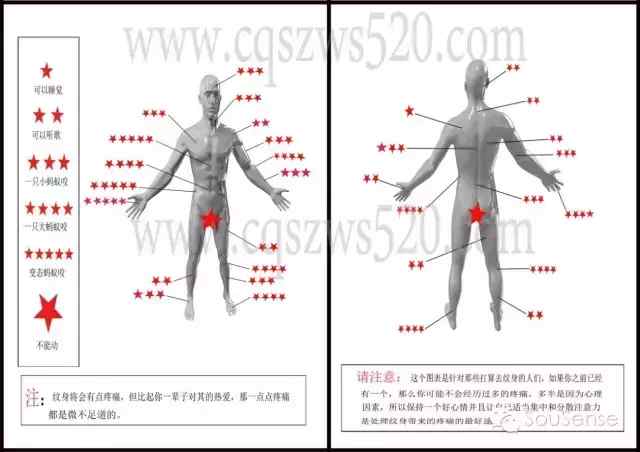 SoulSense纹身知识讲堂2