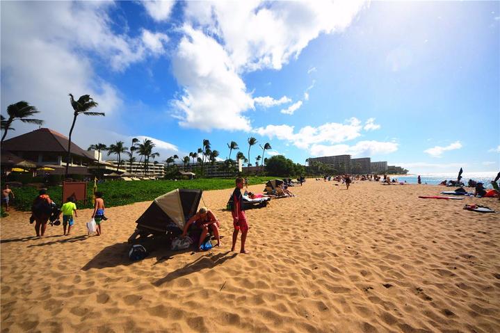骨灰级探险视频,水上运动场夏威夷maui岛浮潜