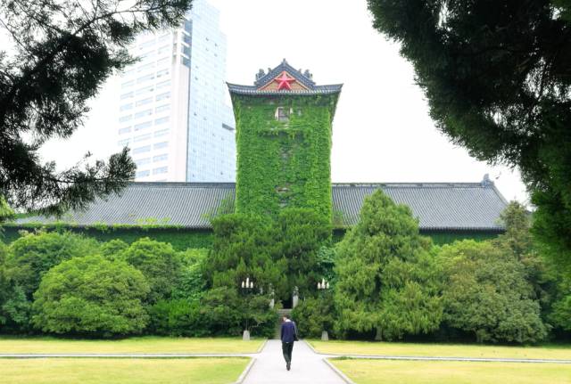 一树一故事｜南大爬山虎百年守望者