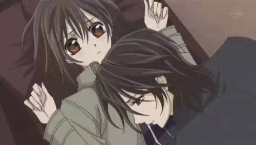 《吸血鬼骑士》,羁绊的爱与恨,来自少女心的宣战!