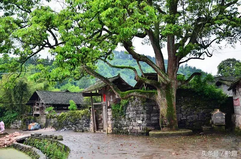 旅游丨假如《欢乐颂2》五对情侣cp来贵州，最适合去哪里？