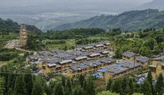 成都周边免费森林自然景点,成都森林避暑好去处