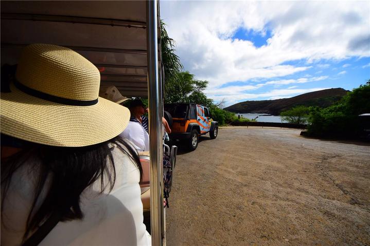 骨灰级探险视频,水上运动场夏威夷maui岛浮潜