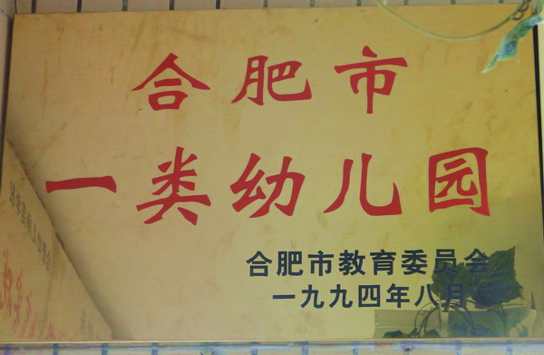 合肥市省级一类幼儿园名单,合肥市一类幼儿园