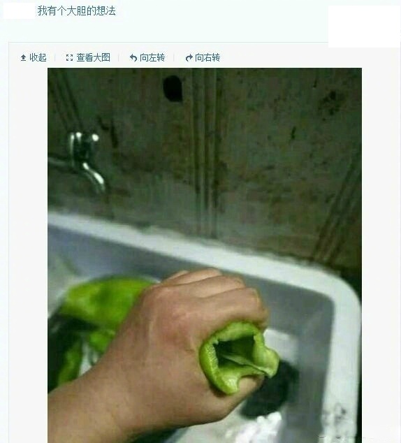 网友说他一个大胆的想法，我真不知道是什么