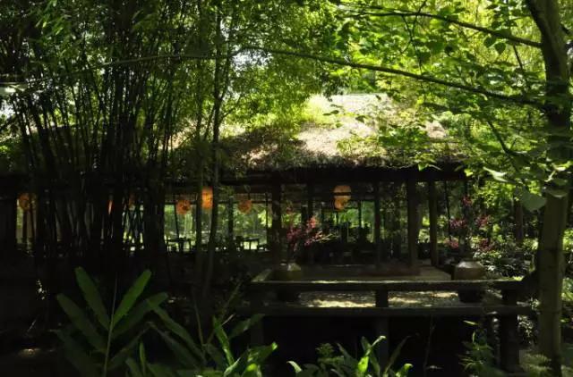 成都周边免费森林自然景点,成都森林避暑好去处