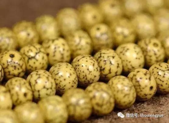 星月菩提盘玩技巧,星月菩提的盘玩方法和技巧