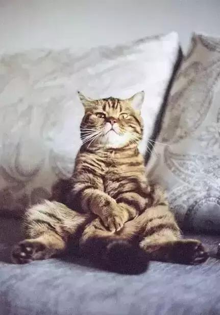 职场表情包朋友圈,职场表情包套装