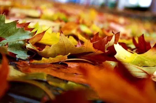 中国航天五零四所介绍,中国航天五零四研究所