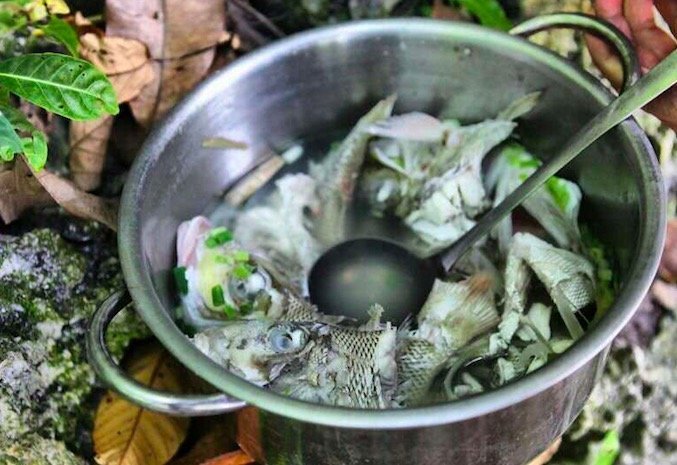 带着思念去旅行完整版,带着思念去海边