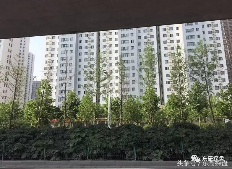 “郑州北三环黄金走廊”：能否托起郑州北部腾飞的红太阳？