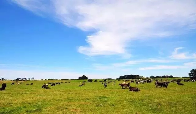 澳洲奶粉好还是俄罗斯奶粉好,为什么妈妈都喜欢欧洲奶粉