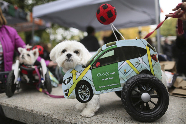 谷歌街景10周年，带你体验地图“特异功能”