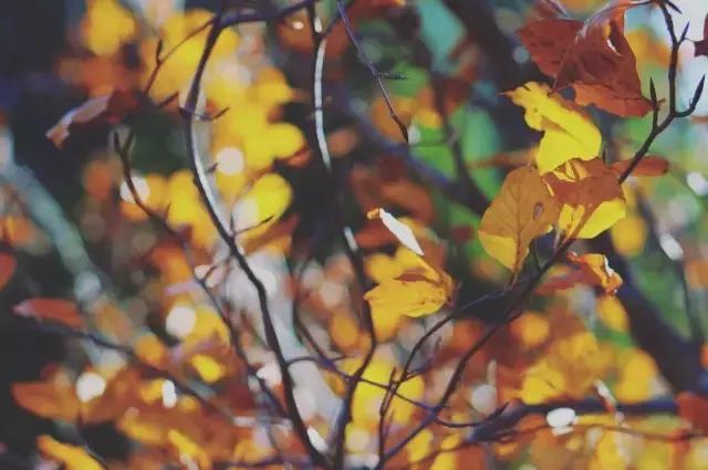 品位好的你，请进来一下