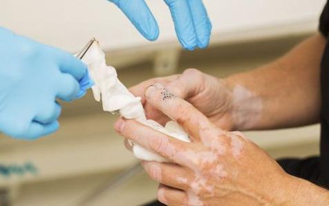 有没有长得像蛇一样的鱼,大部分人都没见过的鱼