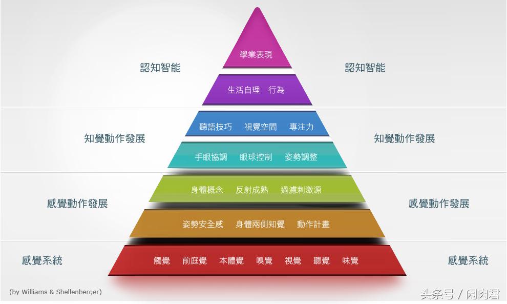感觉统合失调是啥意思,什么是感觉统合失调