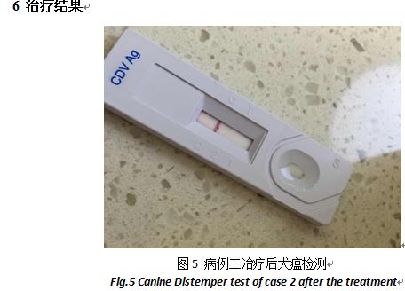 担心狗狗得狗瘟怎么办,狗狗得了犬瘟热怎么治