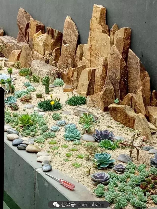 用多肉做花的方法,多肉植物自制方法