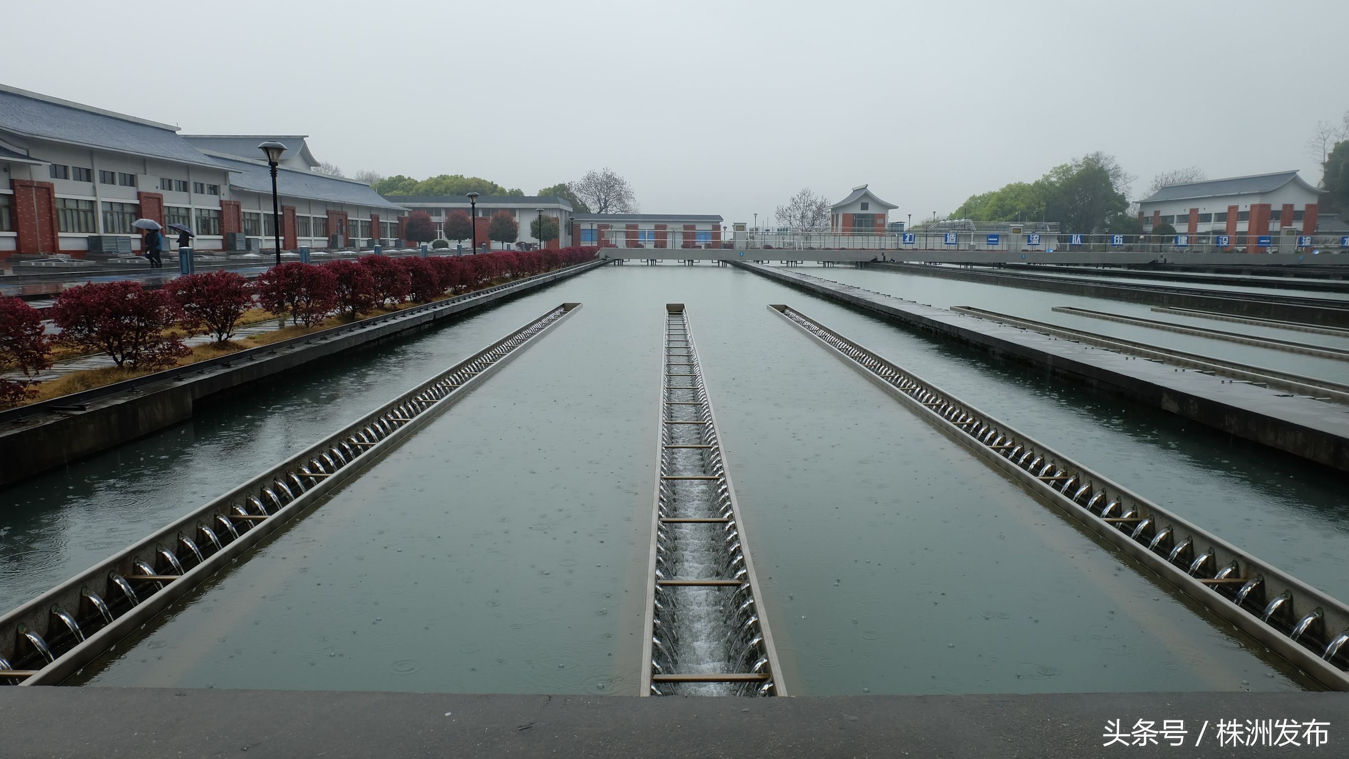 停水后，再来的水为什么会发黄，株洲市自来水公司总经理为你答疑