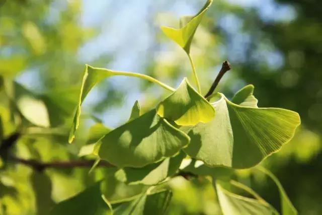 中国航天五零四所介绍,中国航天五零四研究所