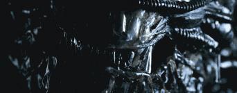 异形契约详细解析,观看异形契约