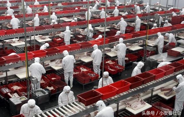 农村孩上完大学在双汇上班，有多少的心酸和无奈？