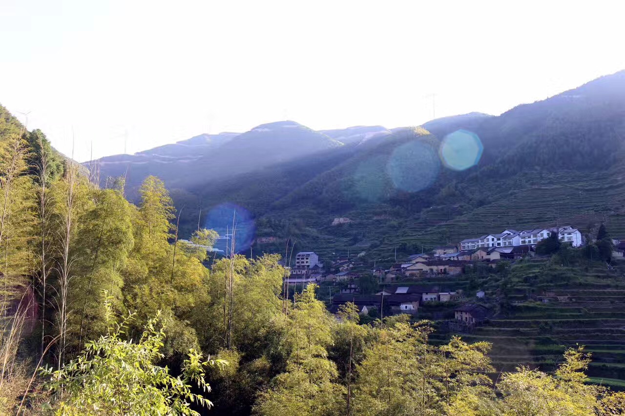 云和梯田日出云海景点攻略,梯田日出云海美不胜收