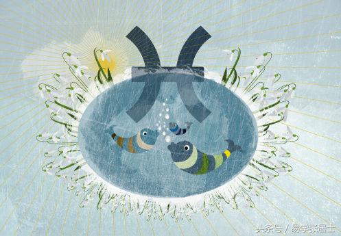 十二星座女为什么对别人挑剔,十二星座谁矫情起来不要命