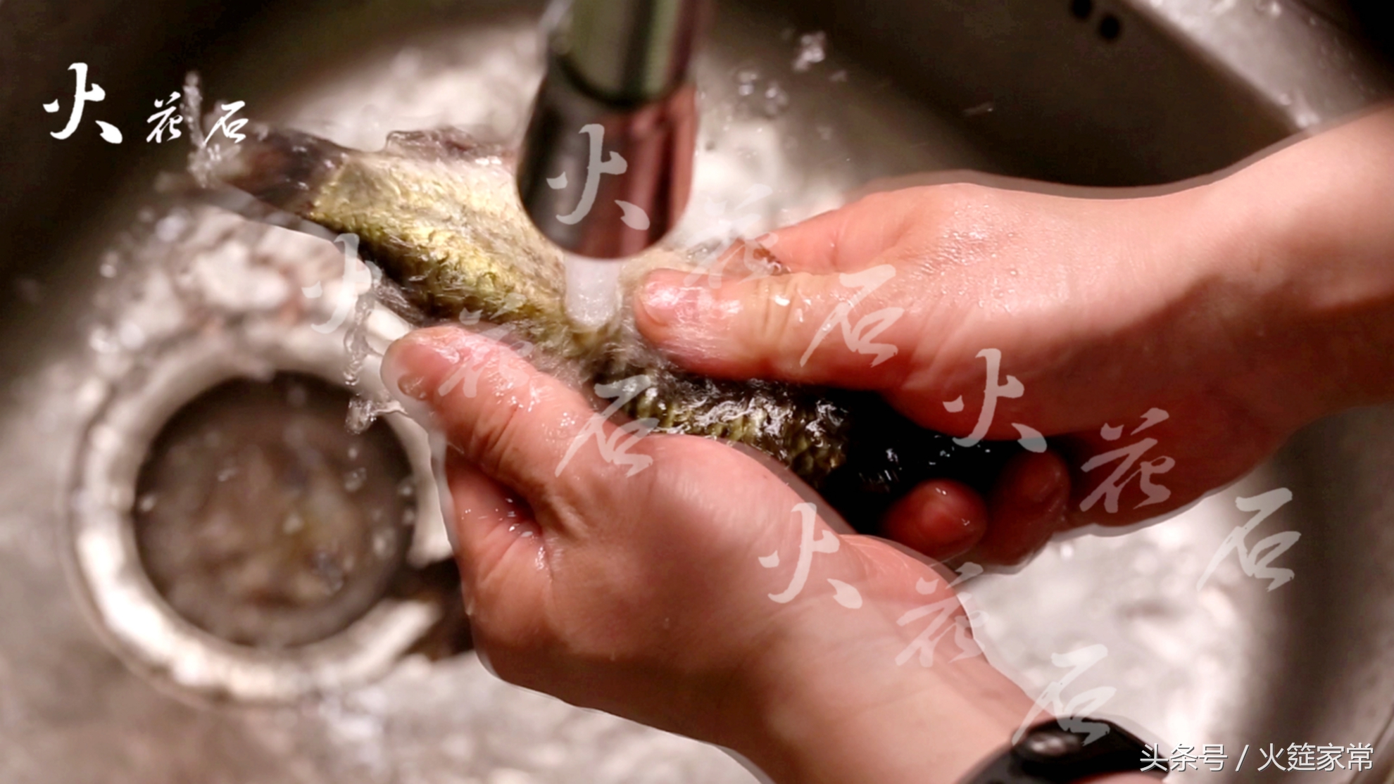 美味又好喝的鲫鱼汤,好吃下饭的鲫鱼汤