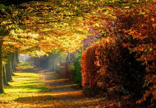 快速成为精英的四大标准,如何快速成为领导心腹的六种方法