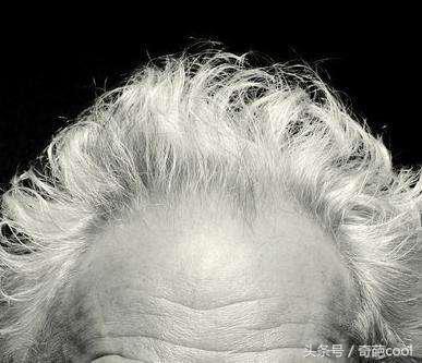 学校实用的冷知识有哪些 (学校学不到的知识有哪些)