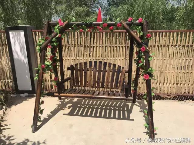 来穿越花海赴春天的约会,龙丽威大马士革玫瑰庄园