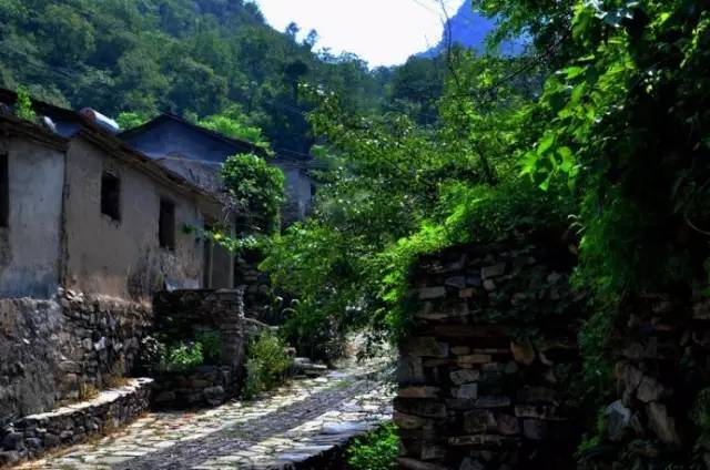 不服不行想办法,不服不行乐视