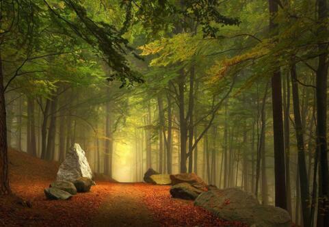 快速成为精英的四大标准,如何快速成为领导心腹的六种方法