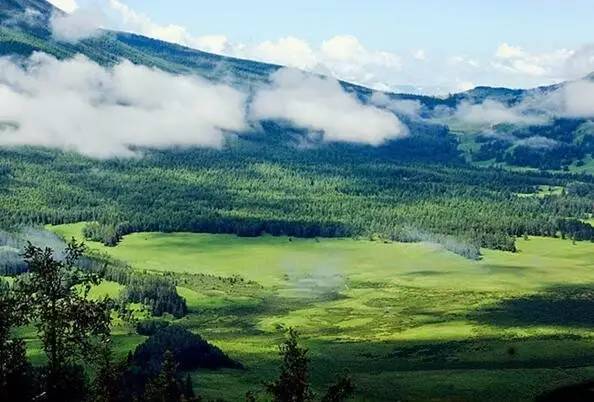 不错的黔江康养项目 (黔江金山国际康养旅游度假区)