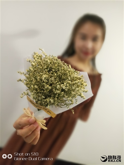 金立s10双摄像头手机,金立s10测评有什么特殊功能