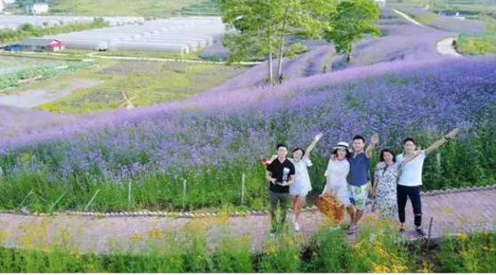 南宁小长假推荐去哪里旅游,南宁周末去哪里旅游最好