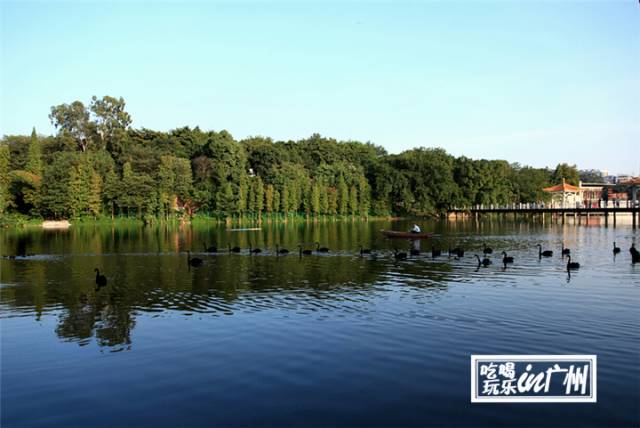 广州最新最美最好玩的景点,广州最值得去玩的景点推荐一下
