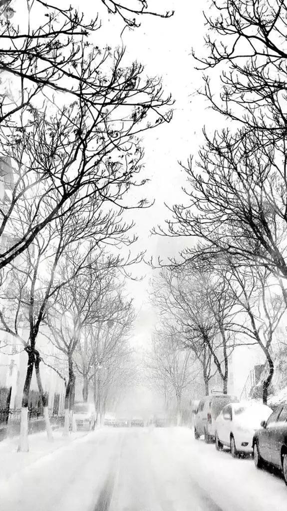 cmpa是什么,cmpa手机摄影欣赏