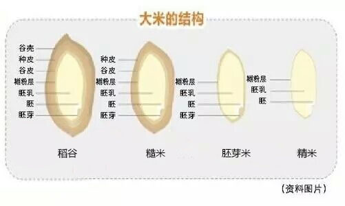 白花花的大米饭,白花花的饭菜