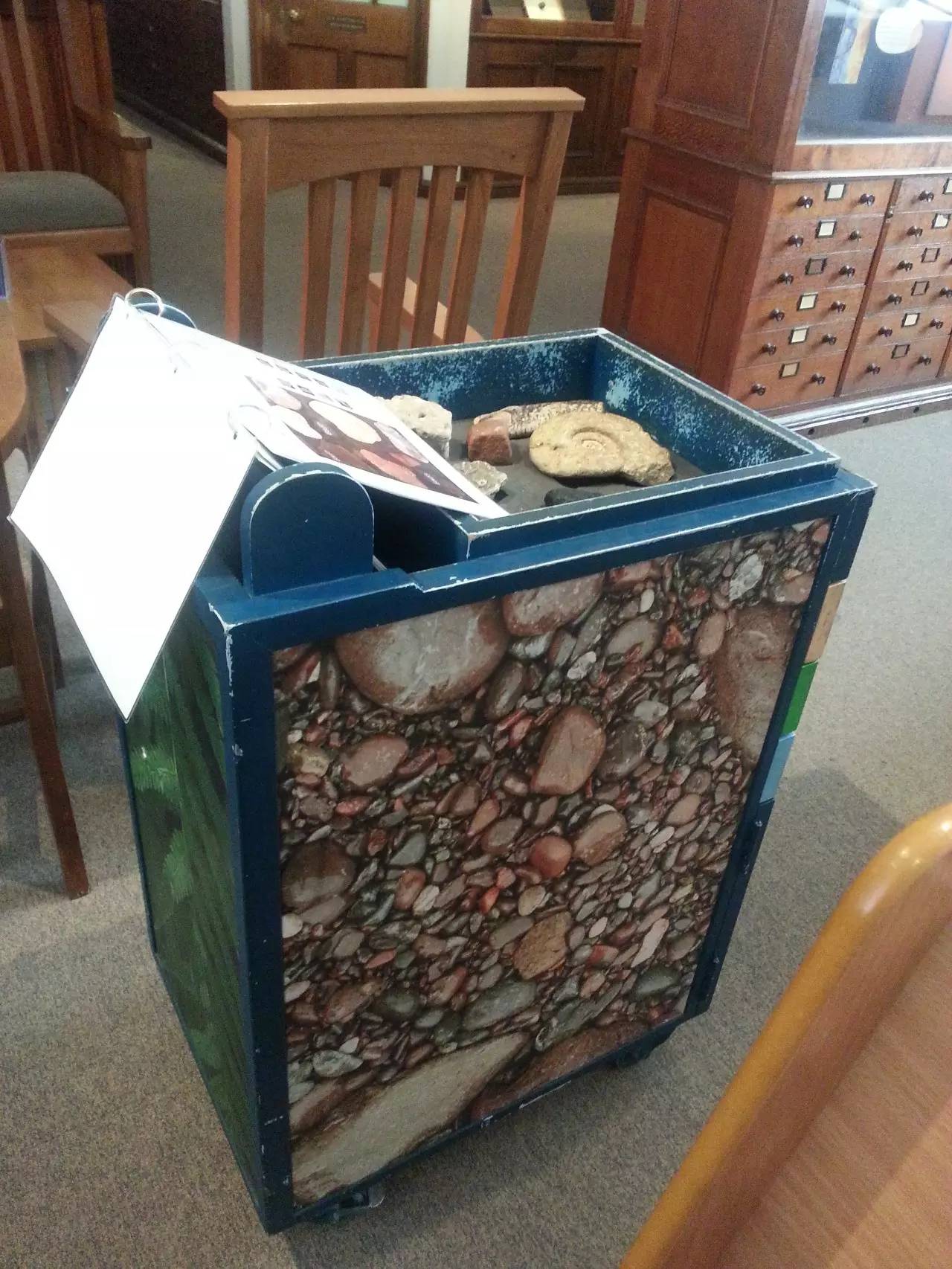 塞奇威克地球科学博物馆,塞奇威克